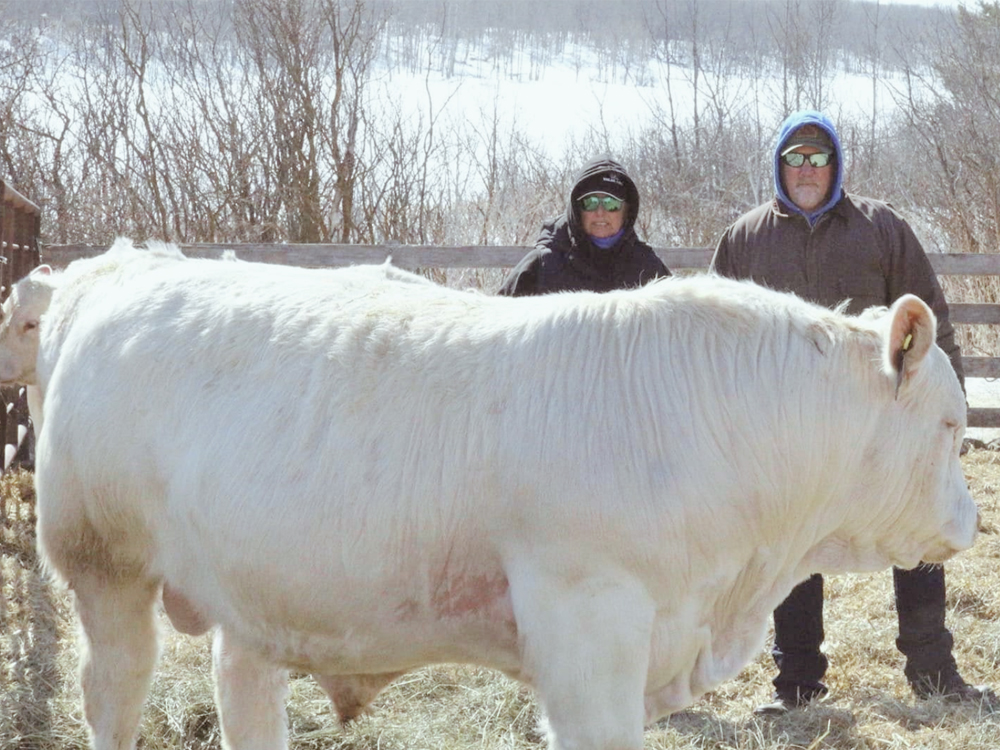 Sliding-Hills-Charolais-Saskatchewan-Family-Photo-3